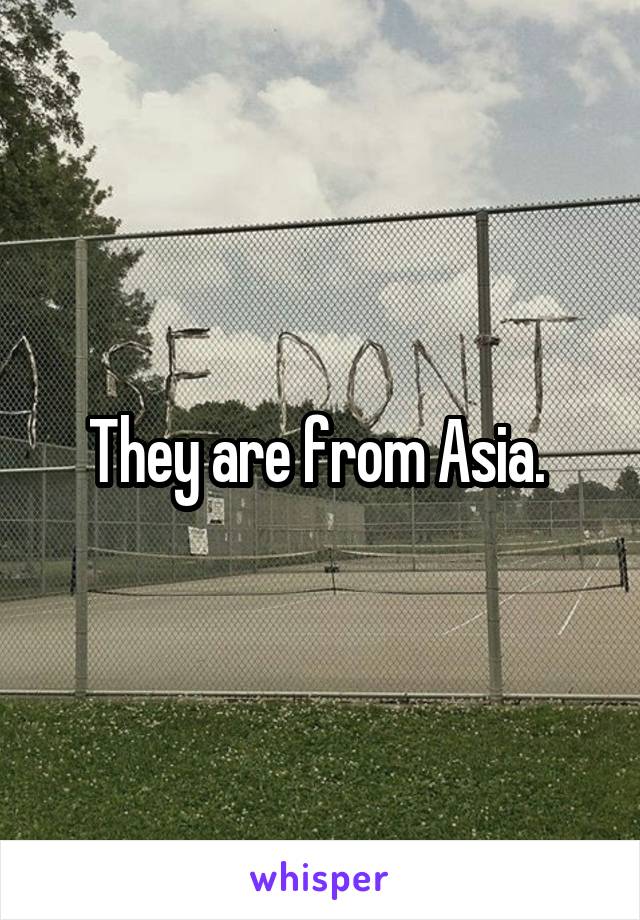 They are from Asia. 