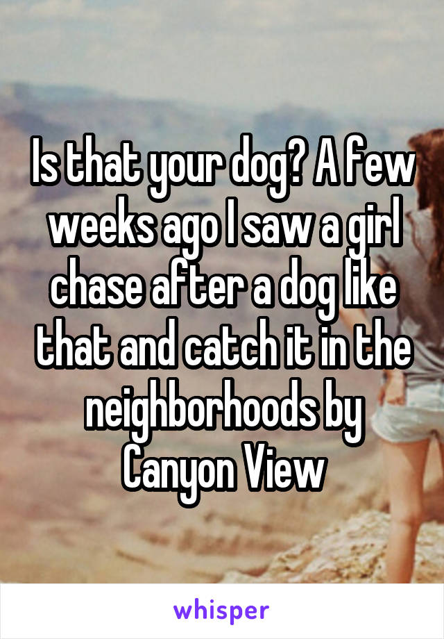 Is that your dog? A few weeks ago I saw a girl chase after a dog like that and catch it in the neighborhoods by Canyon View