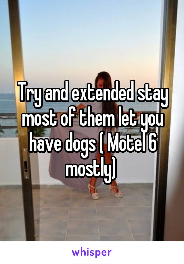 Try and extended stay most of them let you have dogs ( Motel 6 mostly) 