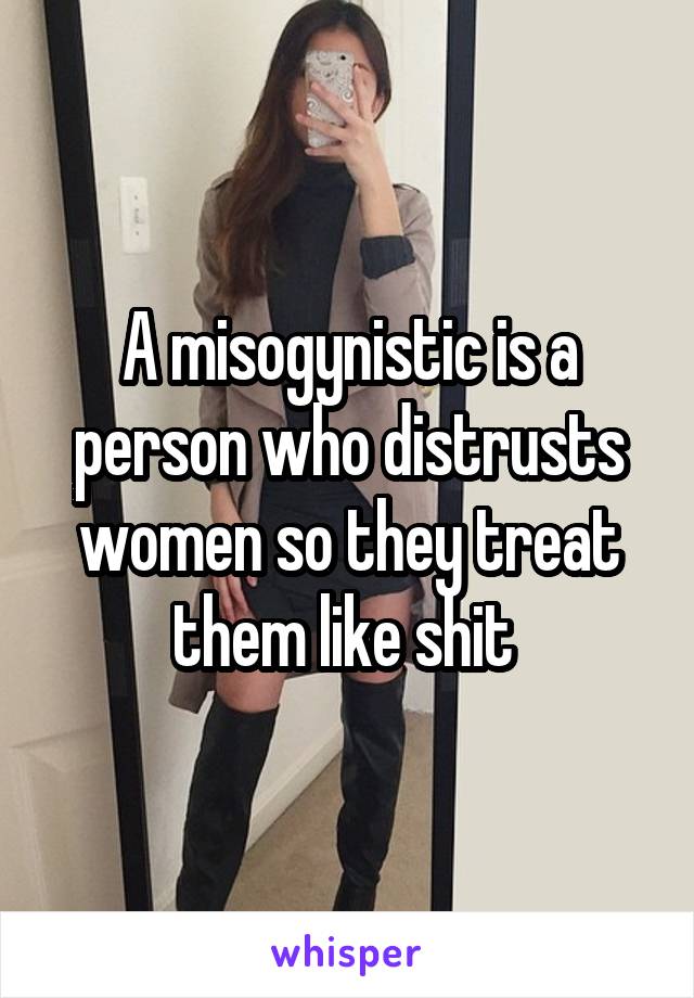 A misogynistic is a person who distrusts women so they treat them like shit 