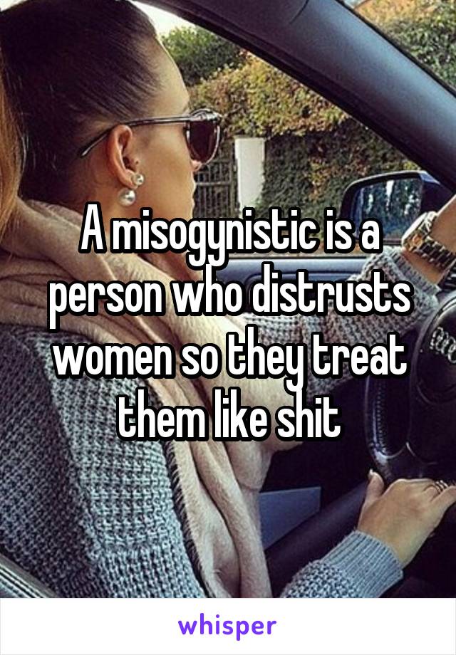 A misogynistic is a person who distrusts women so they treat them like shit