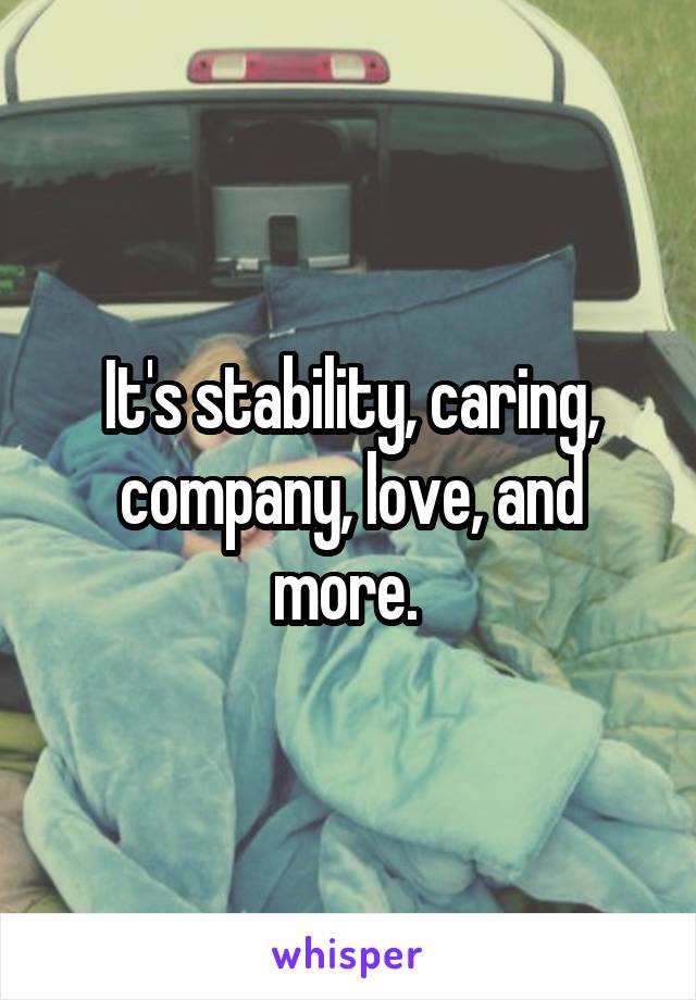 It's stability, caring, company, love, and more. 