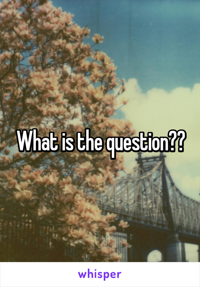 What is the question??