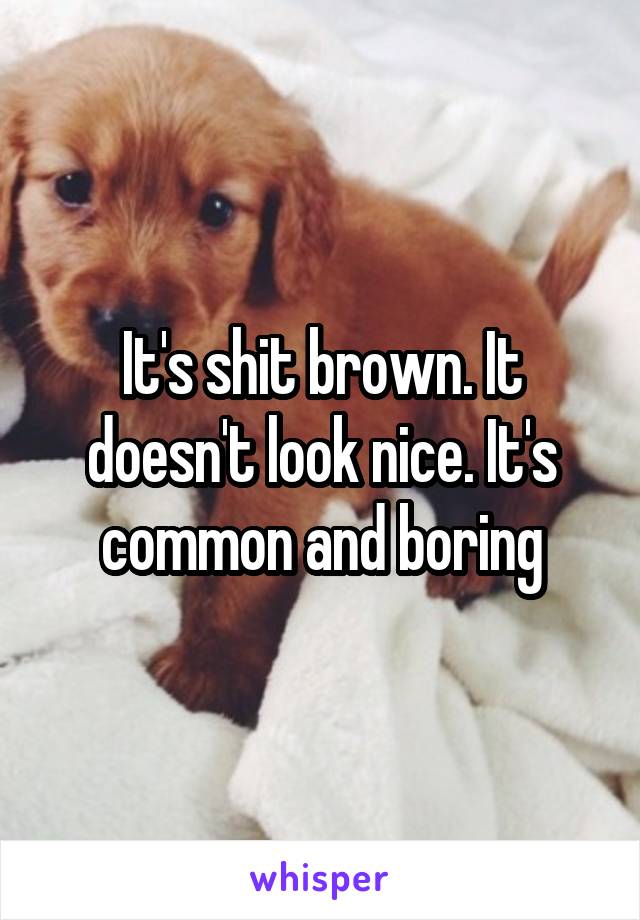 It's shit brown. It doesn't look nice. It's common and boring