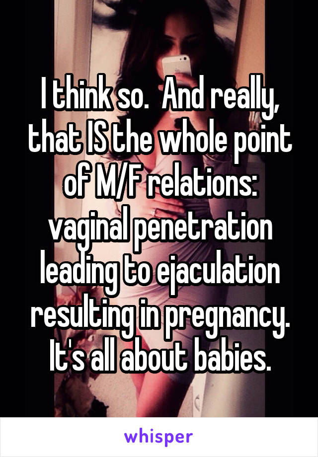 I think so.  And really, that IS the whole point of M/F relations: vaginal penetration leading to ejaculation resulting in pregnancy. It's all about babies.