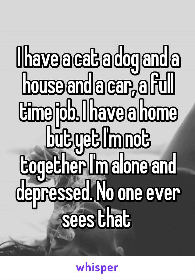 I have a cat a dog and a house and a car, a full time job. I have a home but yet I'm not together I'm alone and depressed. No one ever sees that 