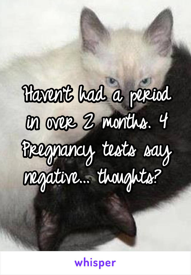 Haven't had a period in over 2 months. 4 Pregnancy tests say negative... thoughts? 