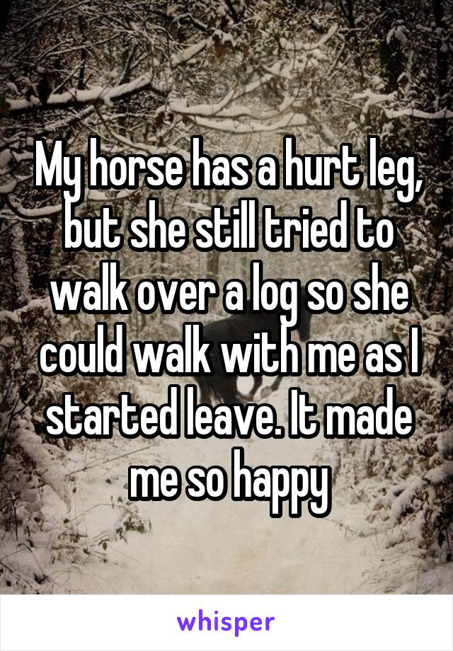 My horse has a hurt leg, but she still tried to walk over a log so she could walk with me as I started leave. It made me so happy
