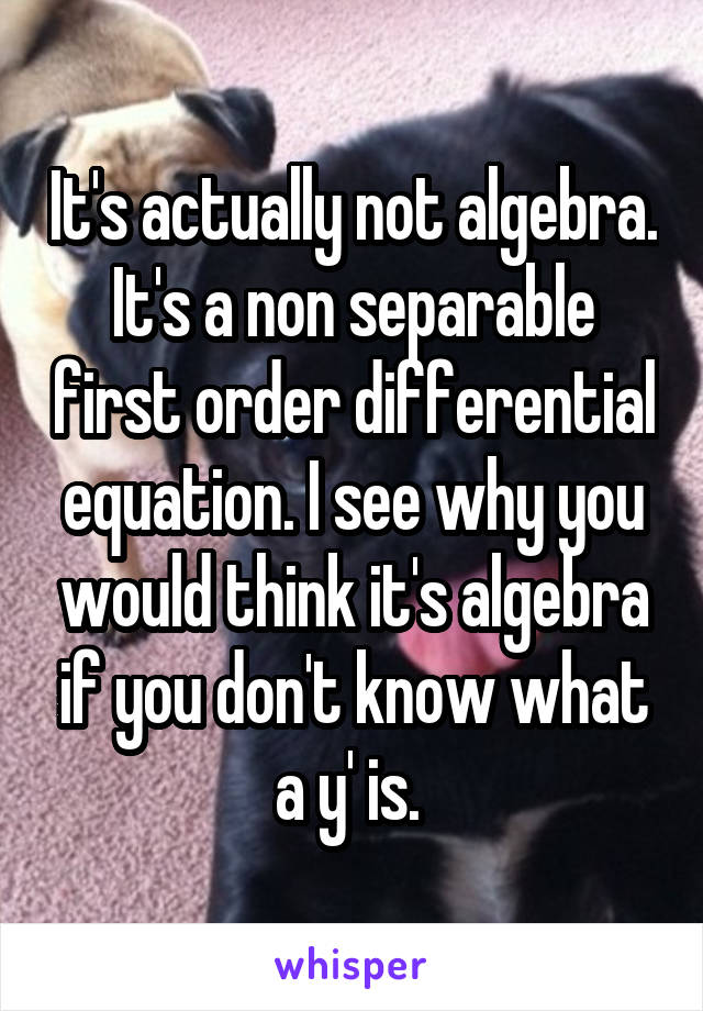 It's actually not algebra. It's a non separable first order differential equation. I see why you would think it's algebra if you don't know what a y' is. 