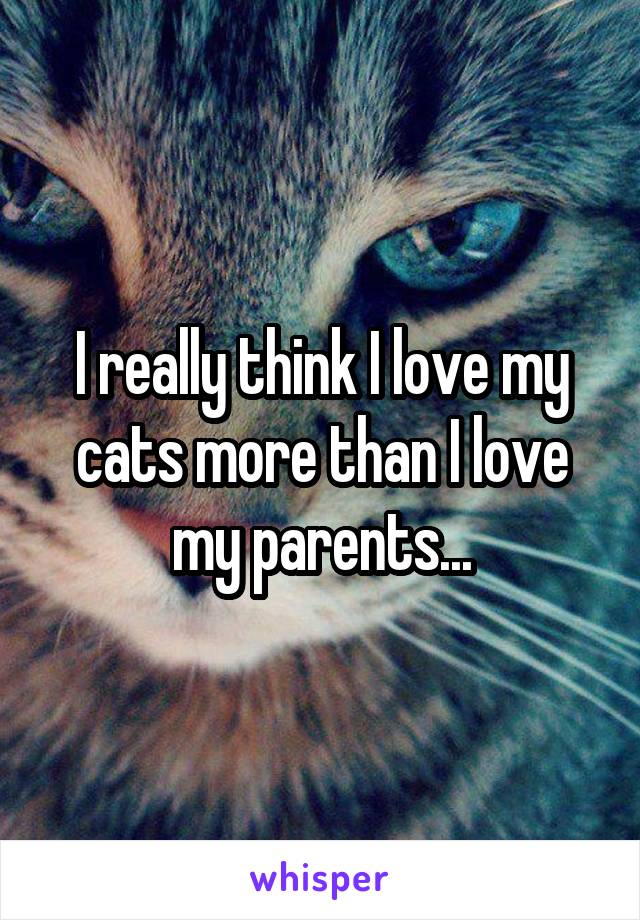 I really think I love my cats more than I love my parents...
