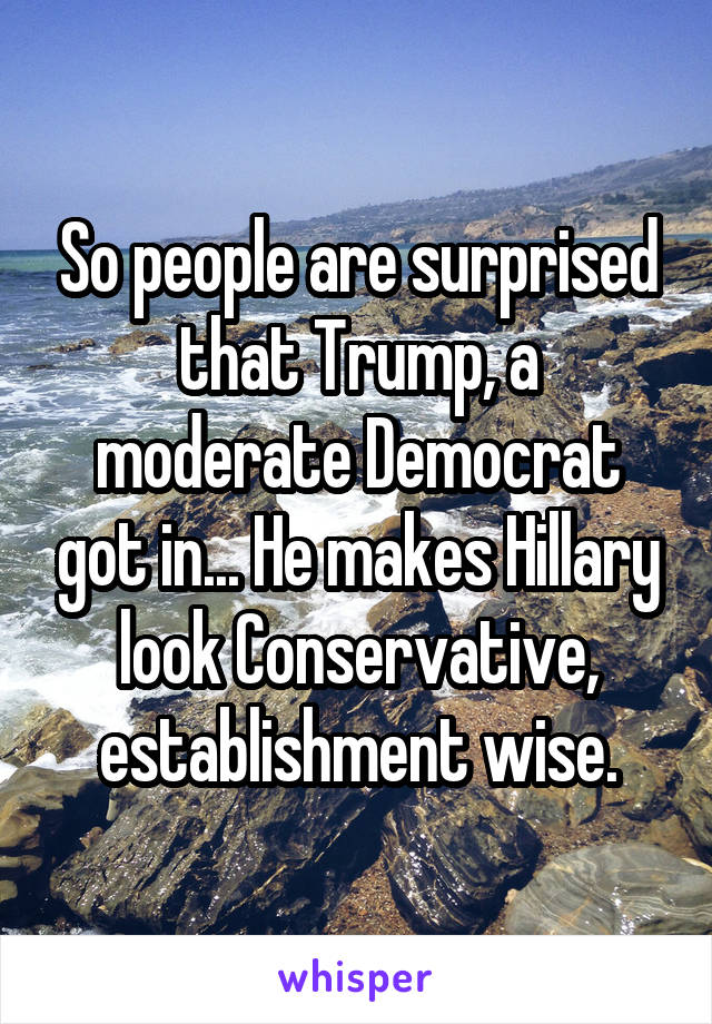 So people are surprised that Trump, a moderate Democrat got in... He makes Hillary look Conservative, establishment wise.