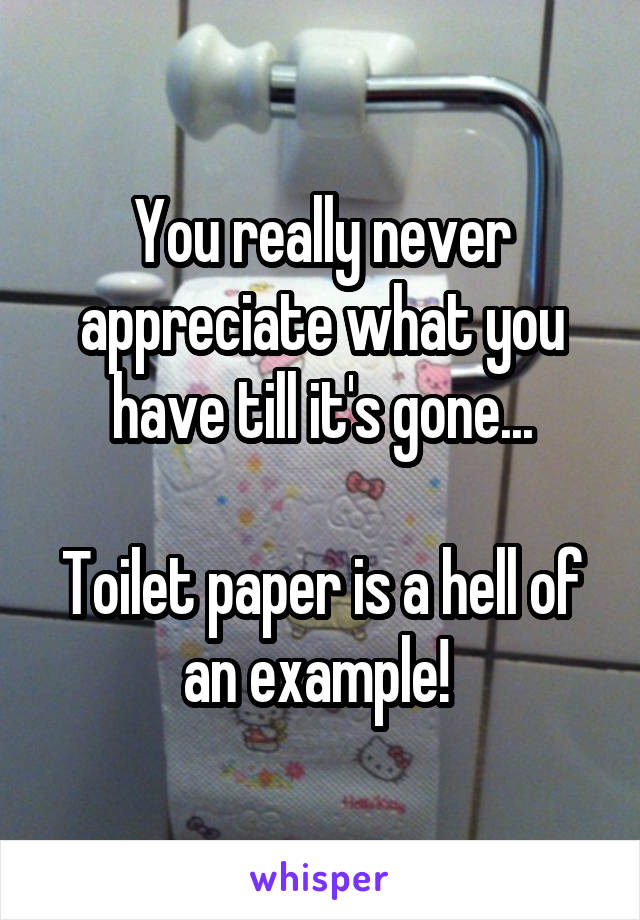 You really never appreciate what you have till it's gone...

Toilet paper is a hell of an example! 
