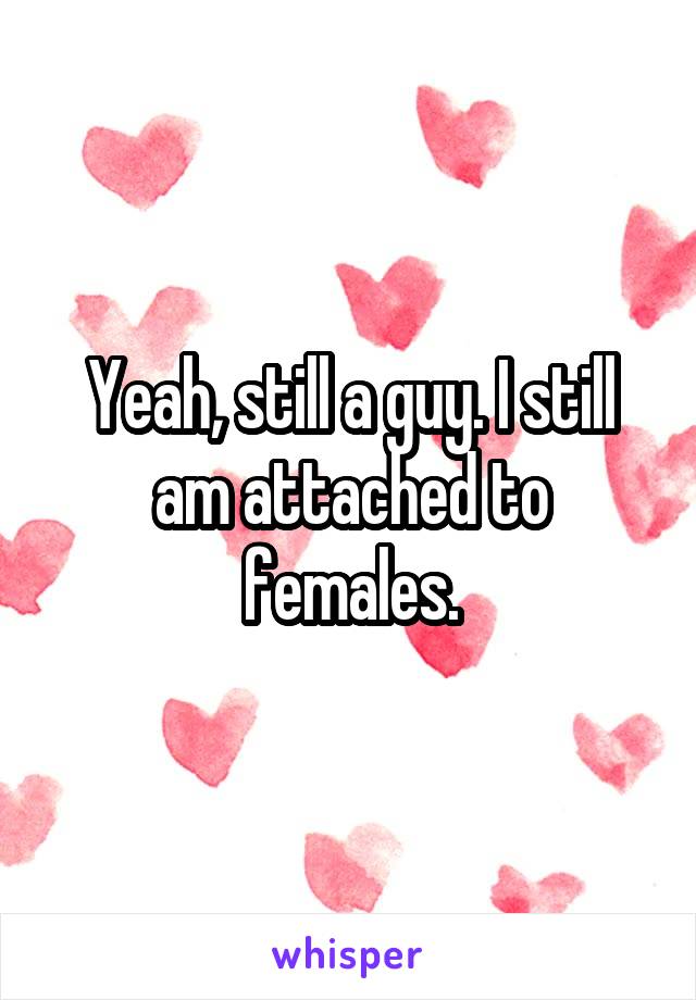 Yeah, still a guy. I still am attached to females.