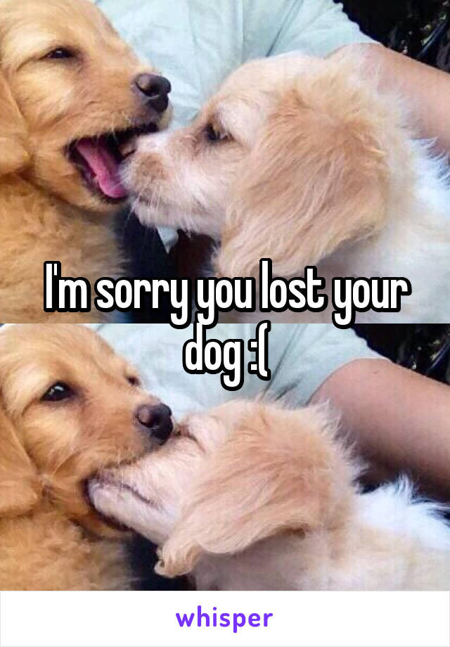 I'm sorry you lost your dog :(
