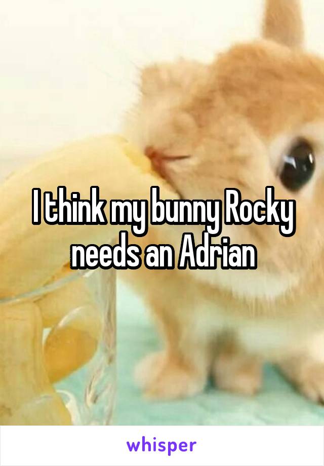 I think my bunny Rocky needs an Adrian