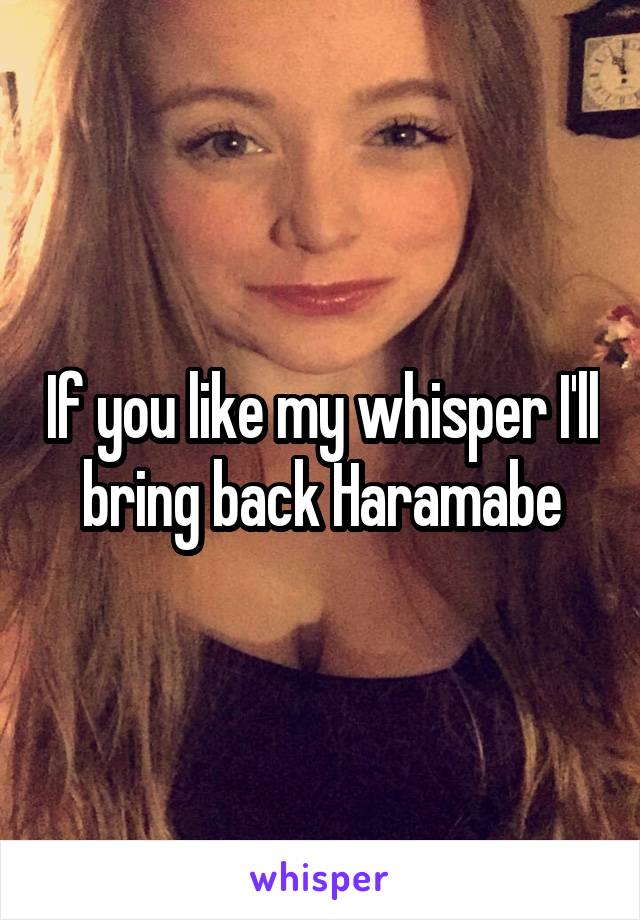 If you like my whisper I'll bring back Haramabe