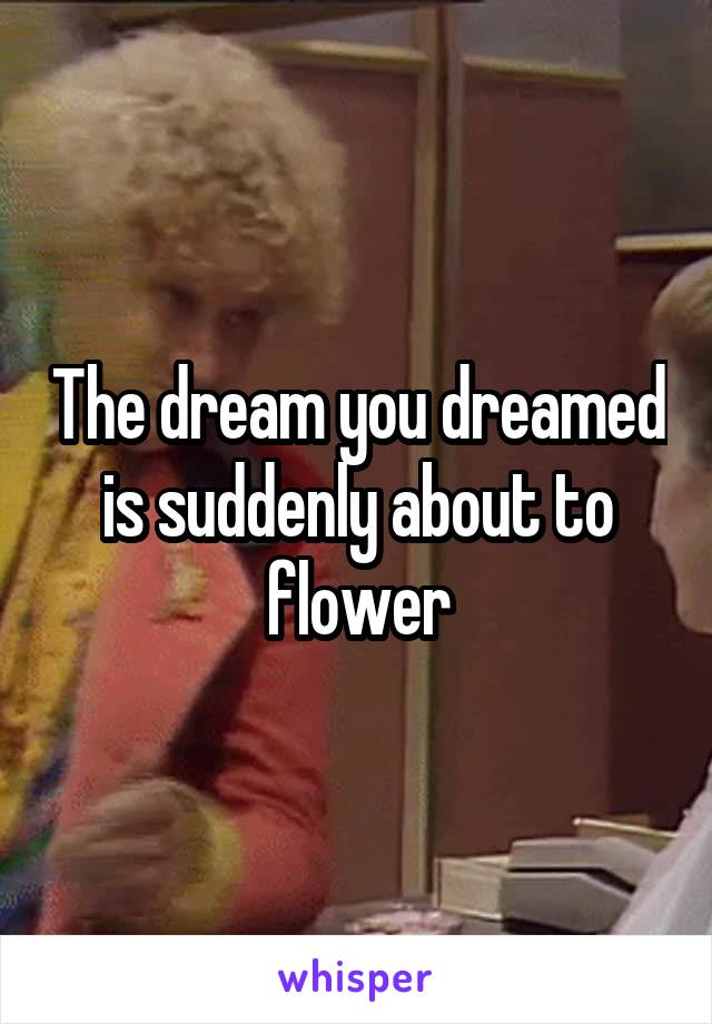 The dream you dreamed is suddenly about to flower