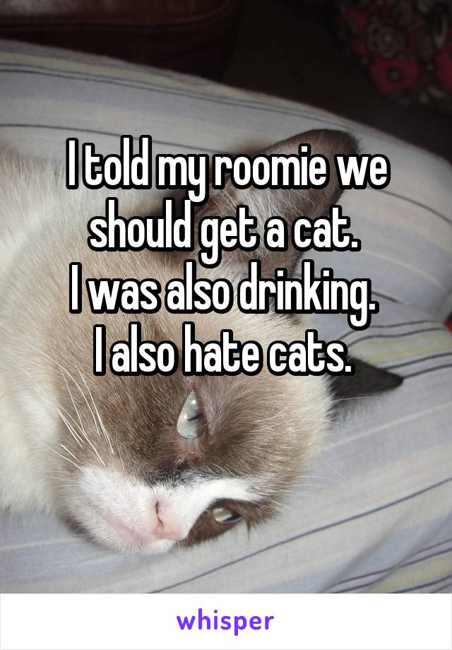 I told my roomie we should get a cat. 
I was also drinking. 
I also hate cats. 

