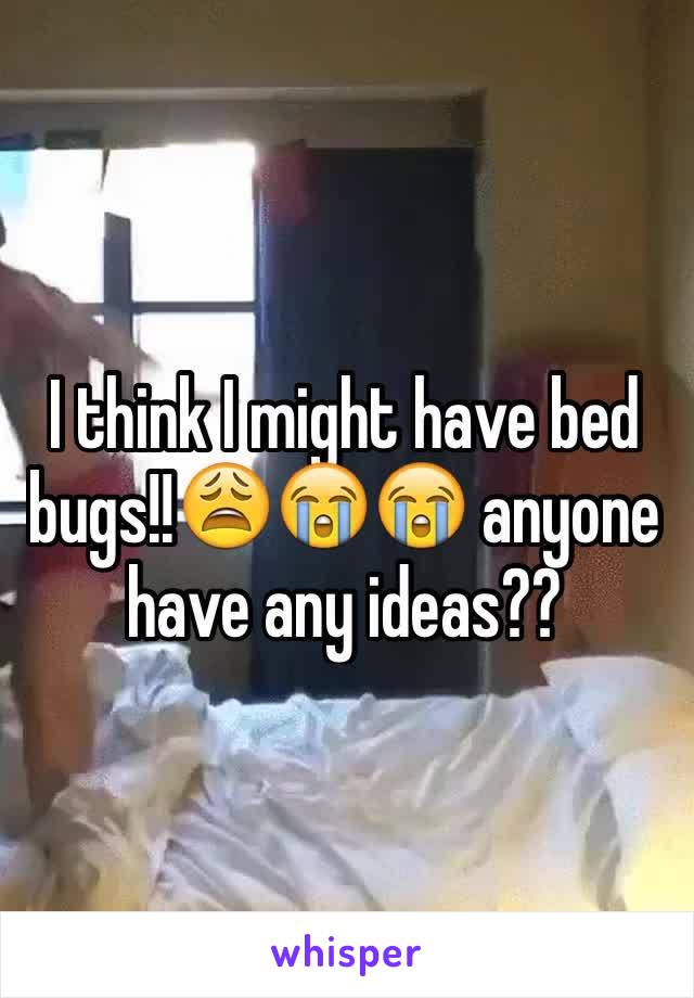 I think I might have bed bugs!!😩😭😭 anyone have any ideas??
