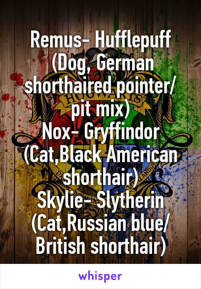 Remus- Hufflepuff
 (Dog, German shorthaired pointer/ pit mix)
Nox- Gryffindor
(Cat,Black American shorthair)
Skylie- Slytherin
(Cat,Russian blue/ British shorthair)