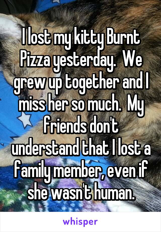 I lost my kitty Burnt Pizza yesterday.  We grew up together and I miss her so much.  My friends don't understand that I lost a family member, even if she wasn't human.