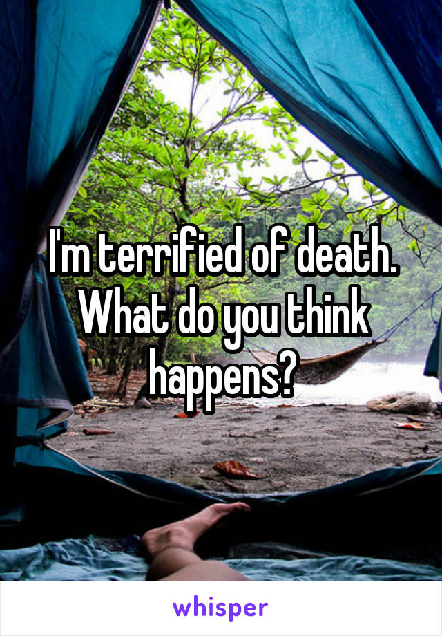 I'm terrified of death. What do you think happens?