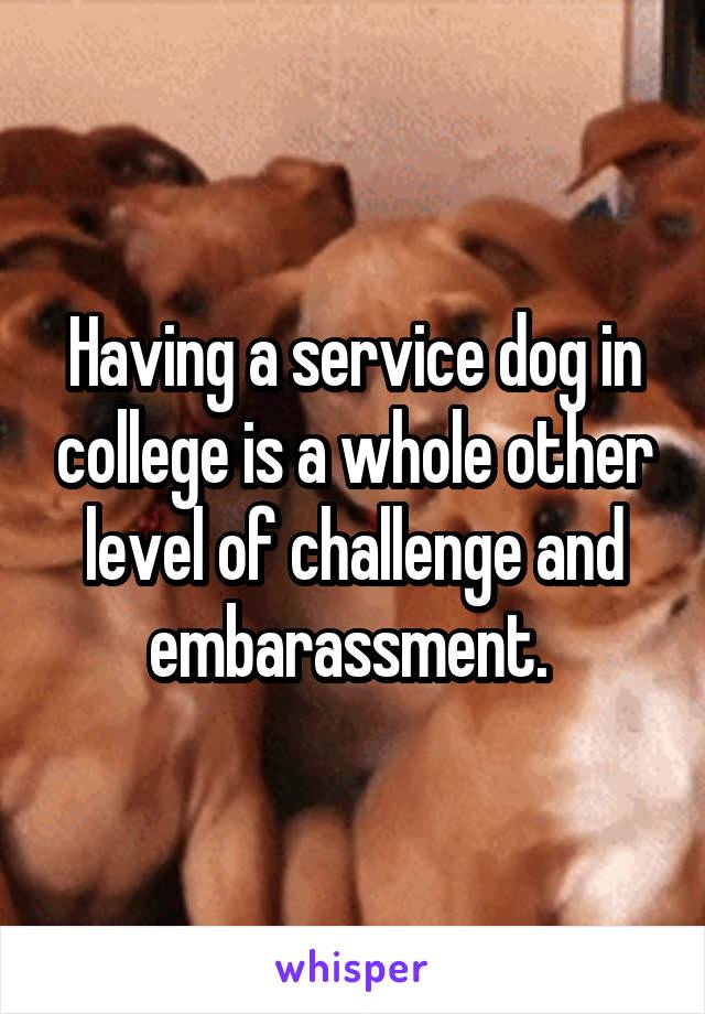 Having a service dog in college is a whole other level of challenge and embarassment. 