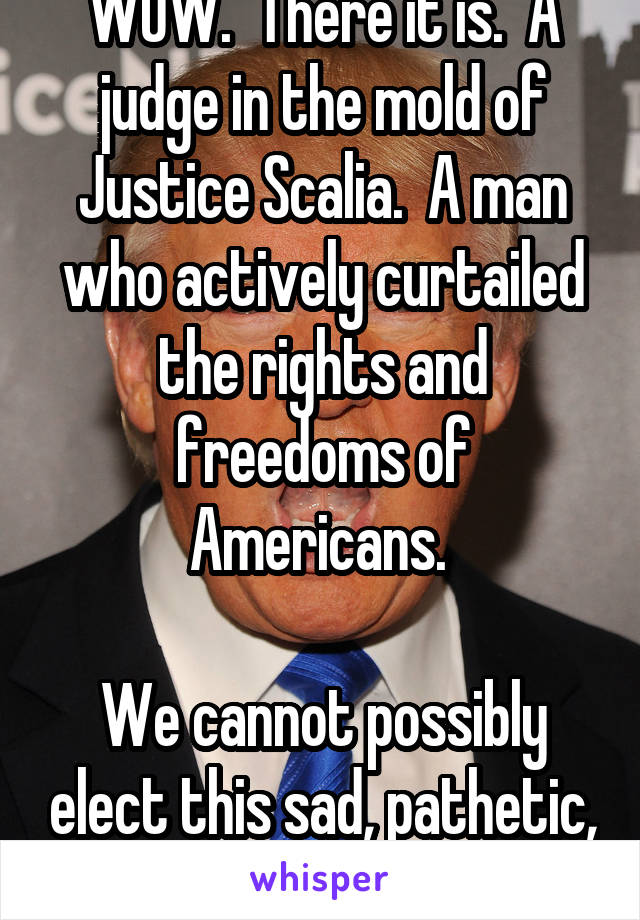 WOW.  There it is.  A judge in the mold of Justice Scalia.  A man who actively curtailed the rights and freedoms of Americans. 

We cannot possibly elect this sad, pathetic, excuse for a man.