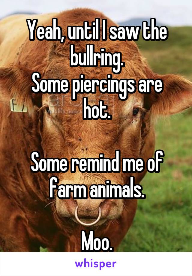 Yeah, until I saw the bullring.
Some piercings are hot.

Some remind me of farm animals.

Moo.