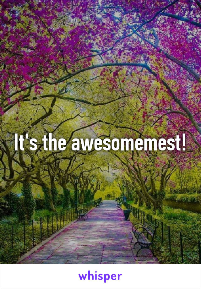 It's the awesomemest!
