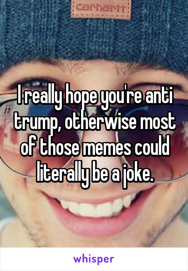 I really hope you're anti trump, otherwise most of those memes could literally be a joke.