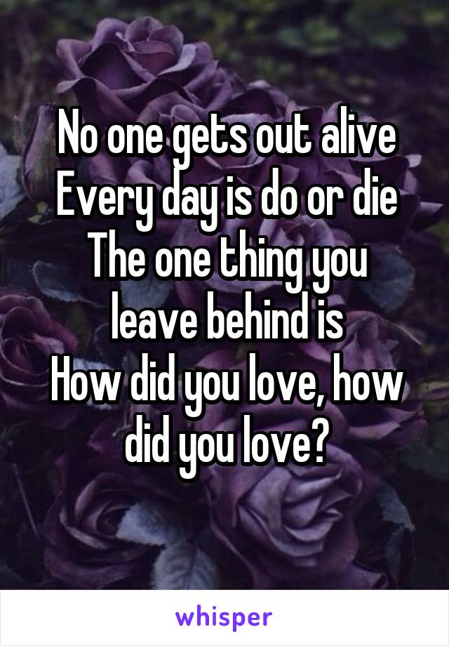 No one gets out alive
Every day is do or die
The one thing you leave behind is
How did you love, how did you love?

