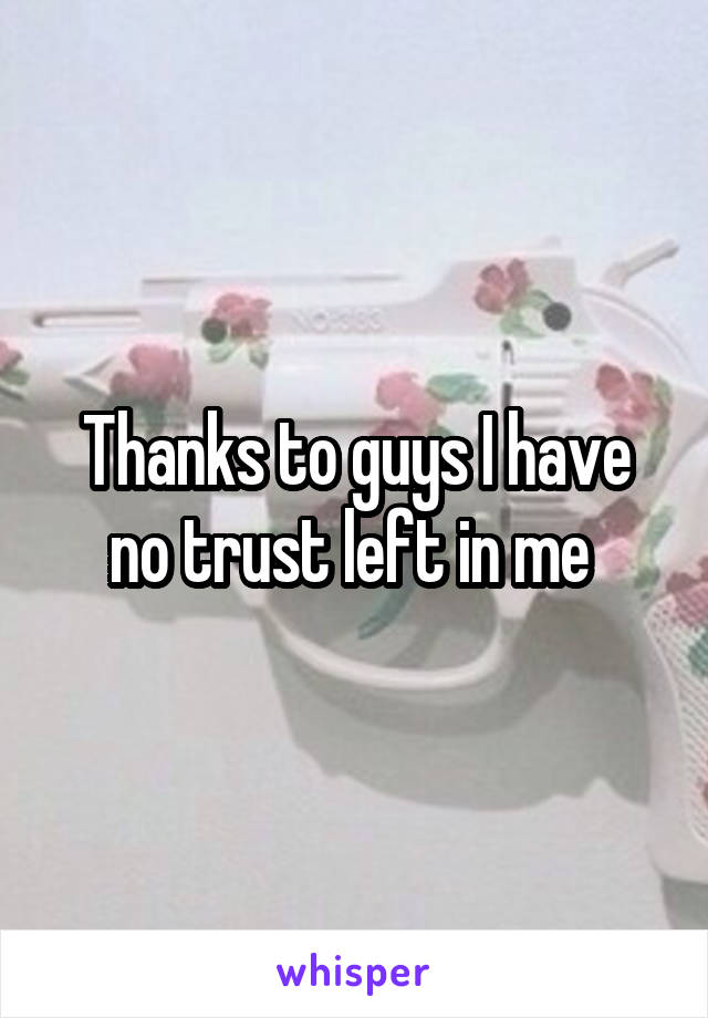 Thanks to guys I have no trust left in me 
