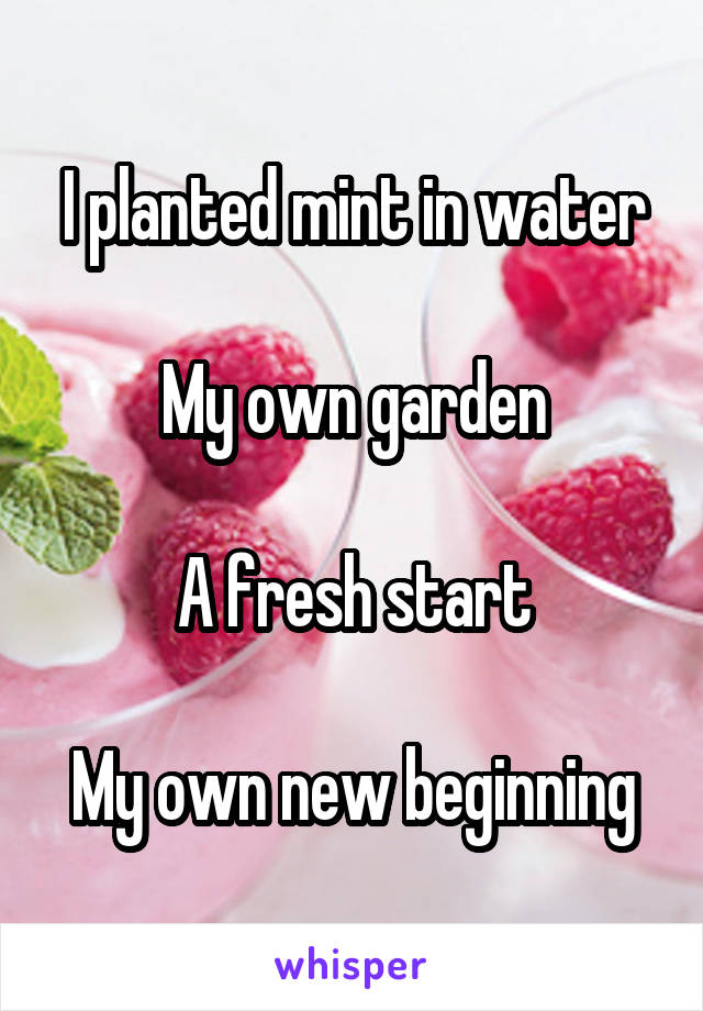I planted mint in water

My own garden

A fresh start

My own new beginning