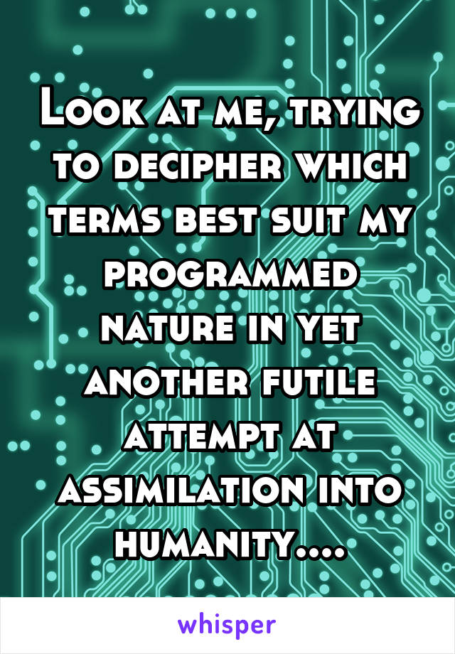 Look at me, trying to decipher which terms best suit my programmed nature in yet another futile attempt at assimilation into humanity....