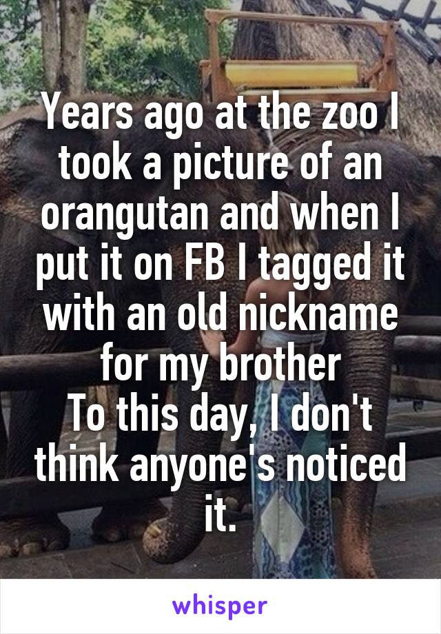 Years ago at the zoo I took a picture of an orangutan and when I put it on FB I tagged it with an old nickname for my brother
To this day, I don't think anyone's noticed it.