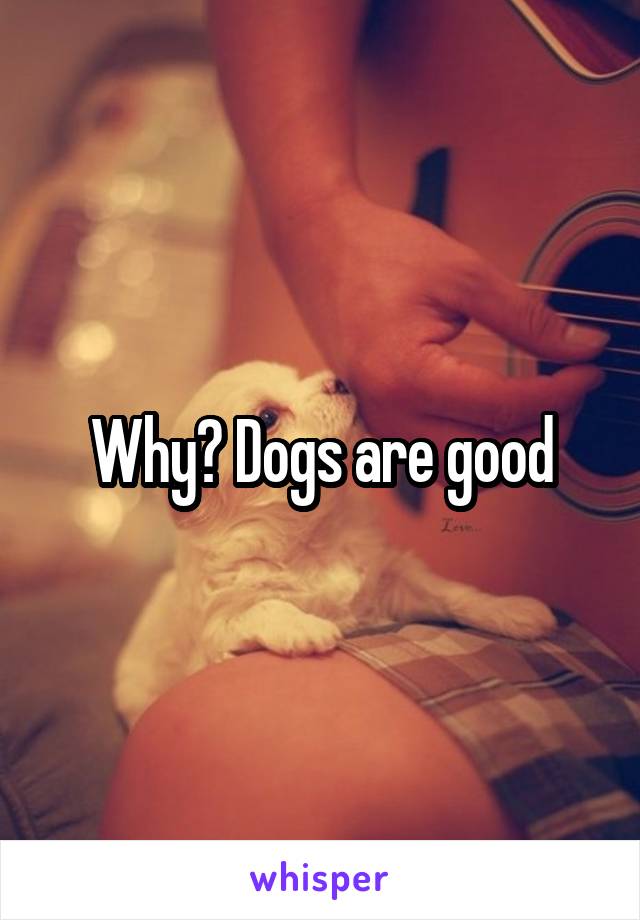 Why? Dogs are good