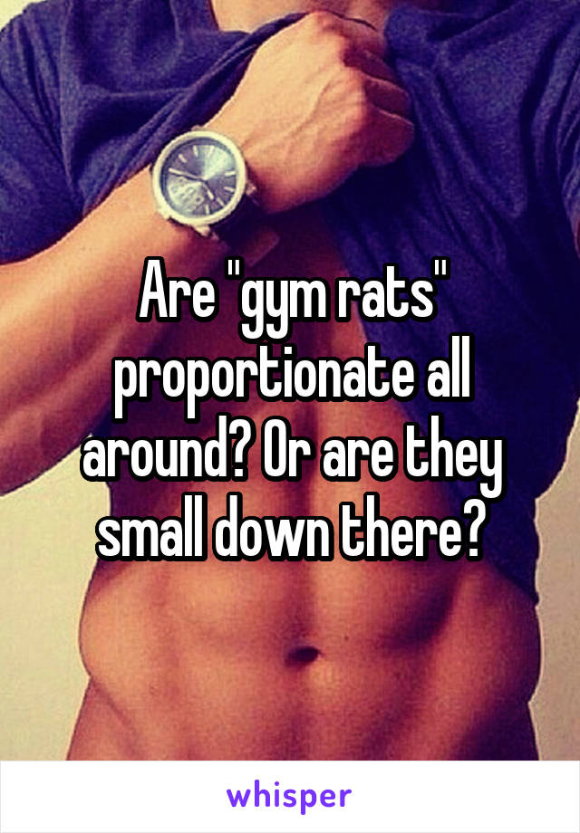Are "gym rats" proportionate all around? Or are they small down there?