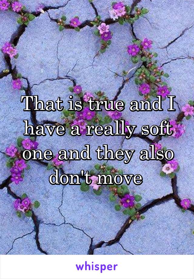 That is true and I have a really soft one and they also don't move 