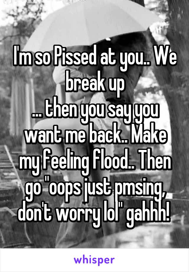 I'm so Pissed at you.. We break up
... then you say you want me back.. Make my feeling flood.. Then go "oops just pmsing, don't worry lol" gahhh! 