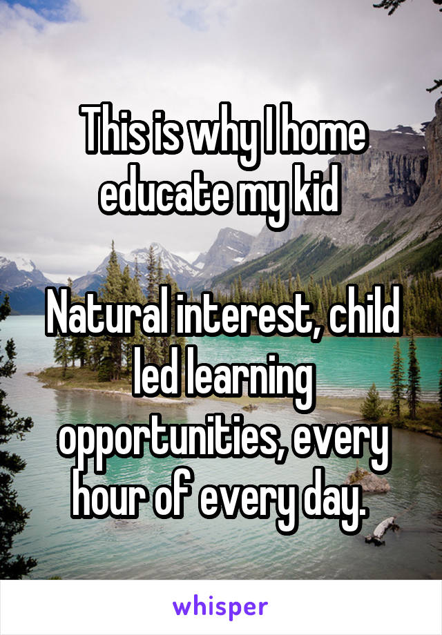 This is why I home educate my kid 

Natural interest, child led learning opportunities, every hour of every day. 