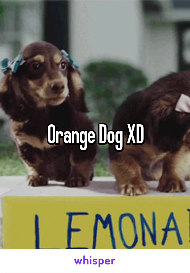 Orange Dog XD