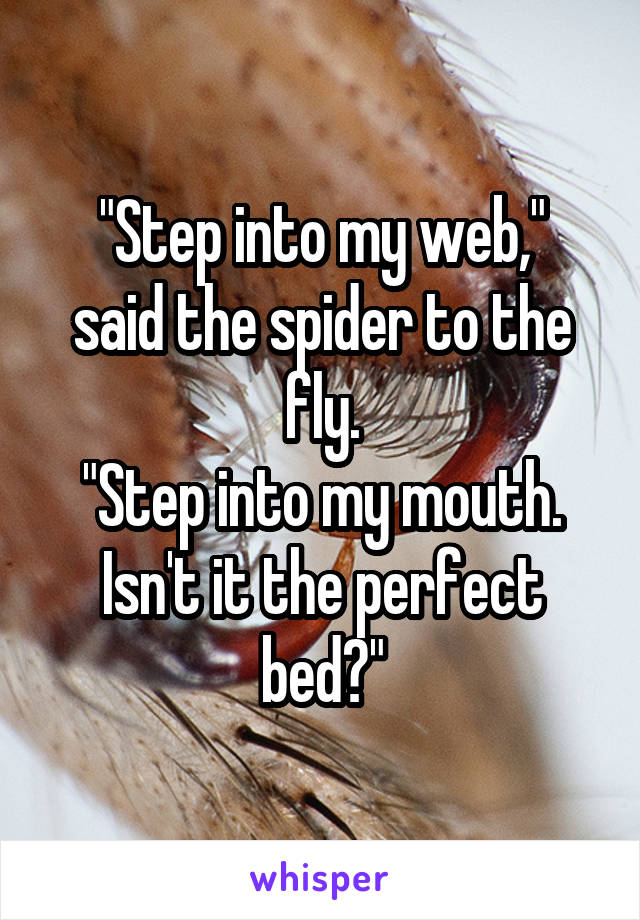 "Step into my web,"
said the spider to the fly.
"Step into my mouth.
Isn't it the perfect bed?"