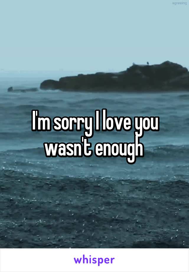 I'm sorry I love you wasn't enough 