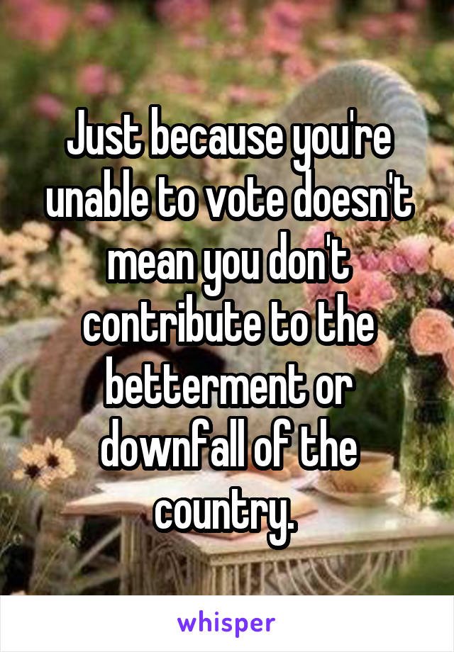 Just because you're unable to vote doesn't mean you don't contribute to the betterment or downfall of the country. 