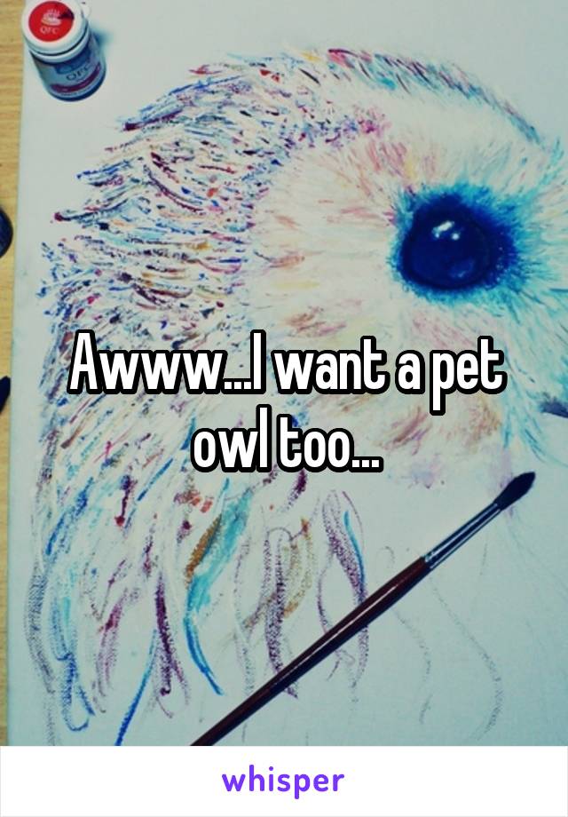 Awww...I want a pet owl too...