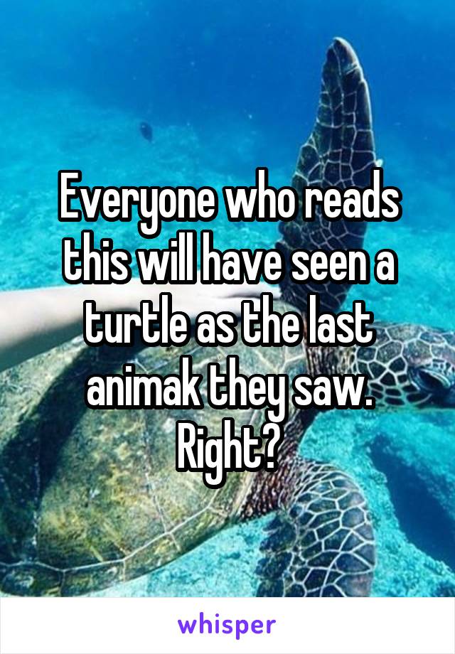 Everyone who reads this will have seen a turtle as the last animak they saw. Right?