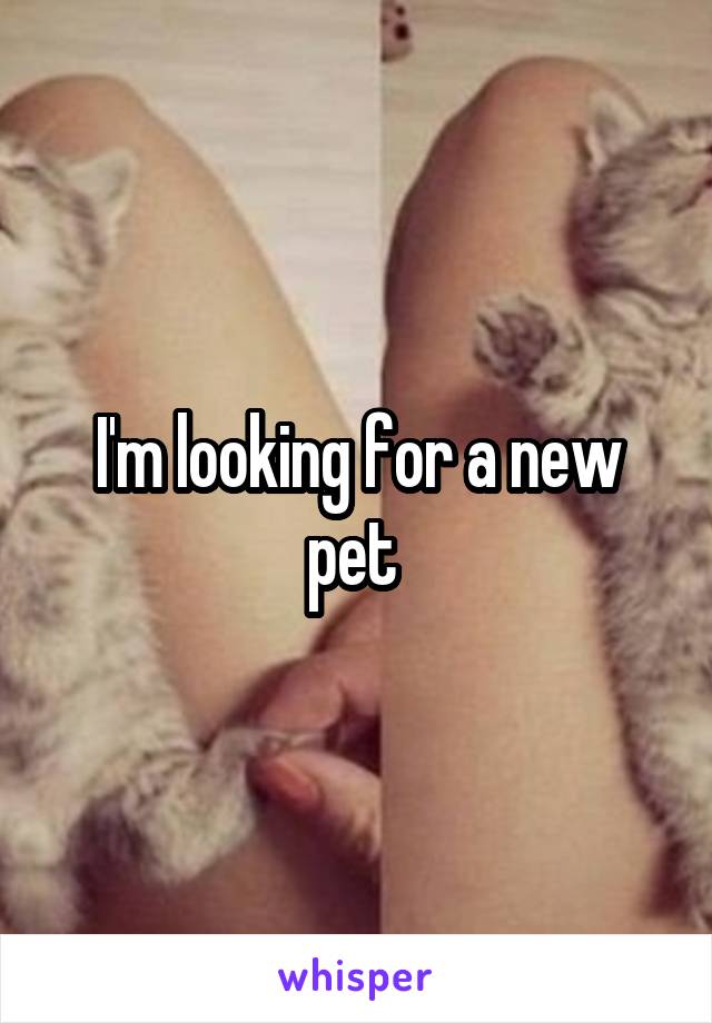 I'm looking for a new pet 