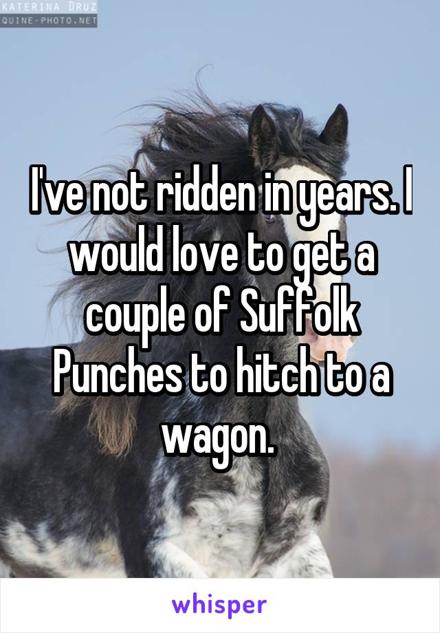 I've not ridden in years. I would love to get a couple of Suffolk Punches to hitch to a wagon. 