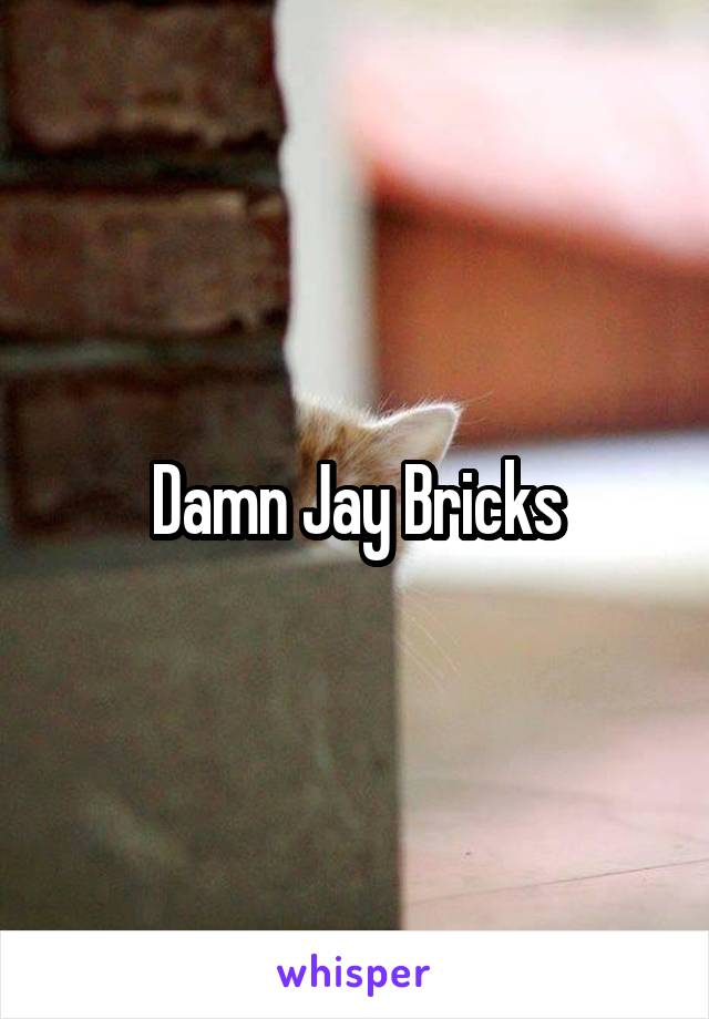 Damn Jay Bricks